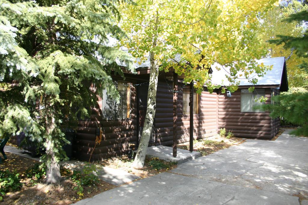 Yellowstone Wildlife Cabins West Yellowstone Exterior photo